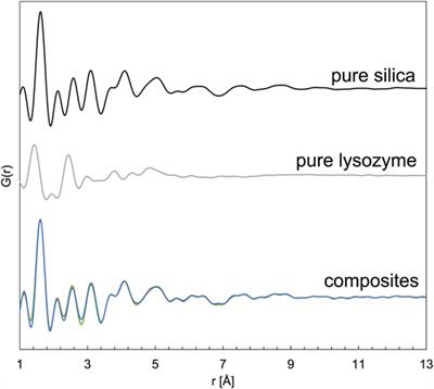 Formation of Silica-Lysozyme Composites Through Co-Precipitation and Adsorption